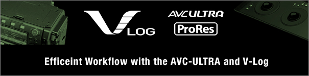 V log